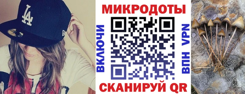 Галлюциногенные грибы Psilocybe  Щигры 